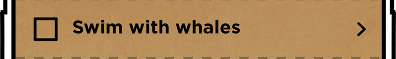 Bucket list item: swim with whales